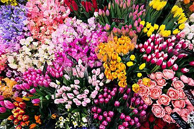 《生化4RE》DLC与原版对比 阿什莉艾达王更诱人